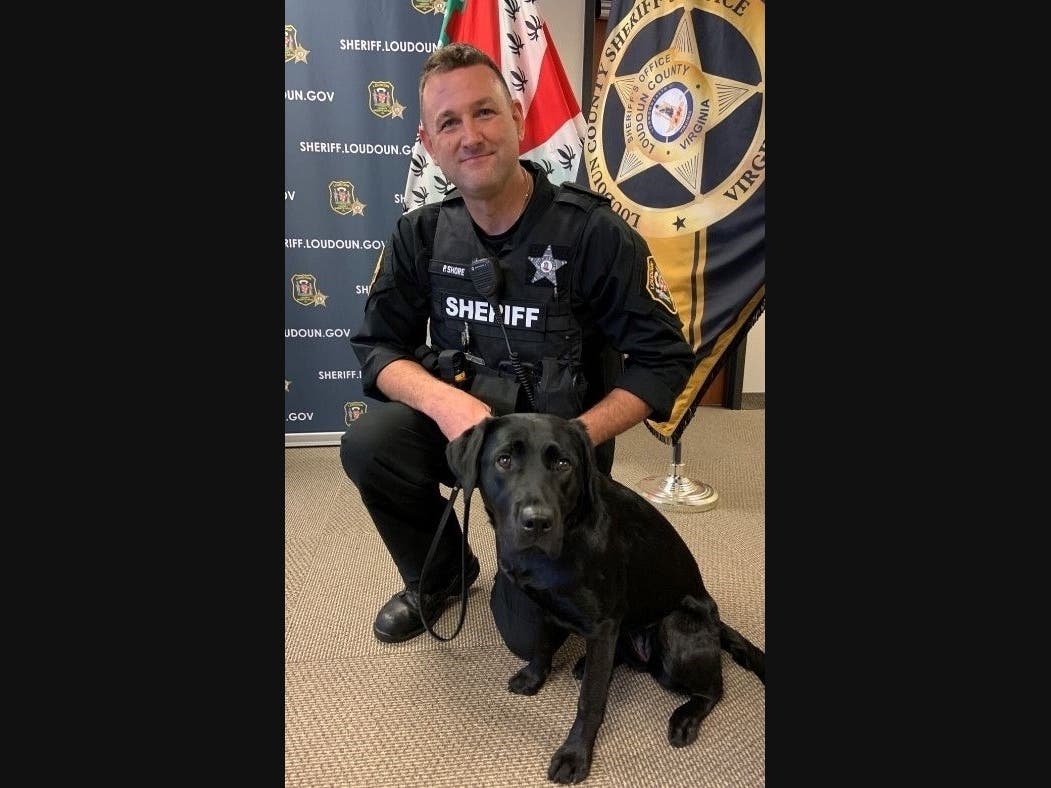 The Loudoun County Sheriff’s Office welcomed the agency’s newest member Friday, a 2-year-old explosive detection canine named Ginny. 