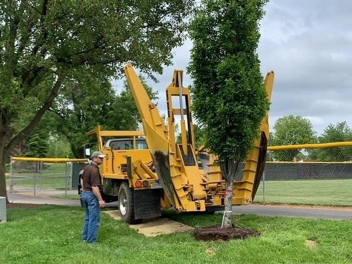 Leesburg moved trees from a construction site to Robinson Park, above, and other areas that saw significant tree damage during a February tornado.