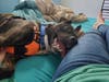 Danny is silly and affectionate, and it takes him no time at all to warm up to the new people he has met.