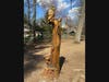 Chainsaw artist Andrew Mallon completed this sculpture and three others in Cherry Hill Park in Falls Church. (Mark Hand/Patch)