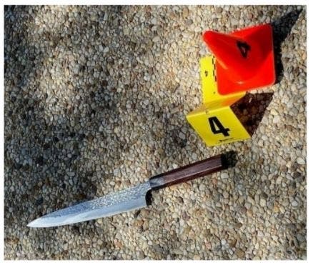 The suspect, Noah Green, exited his vehicle “armed with a large knife" after ramming his car into two police officers, killing one of them.