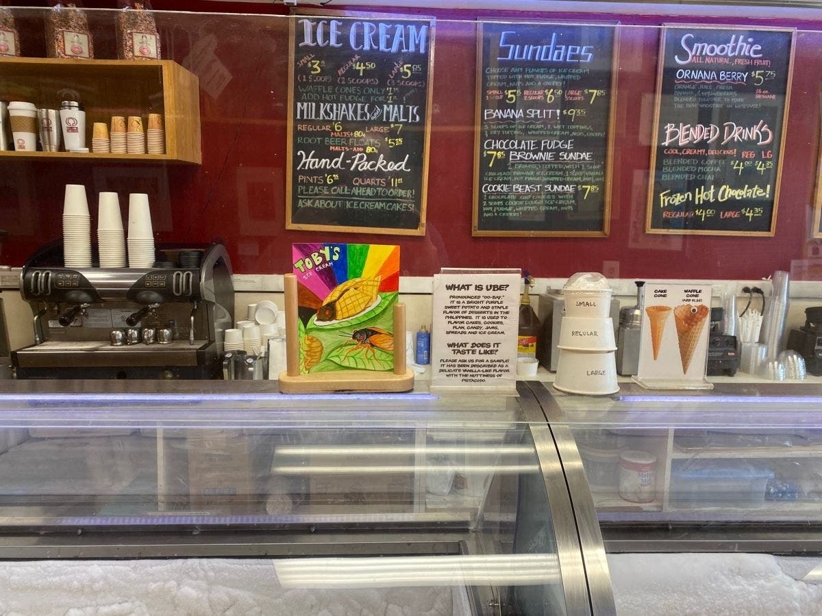 Cicada Sundae: Public Abuzz Over Arlington Shop's Frozen Treat - Vimarsana News
