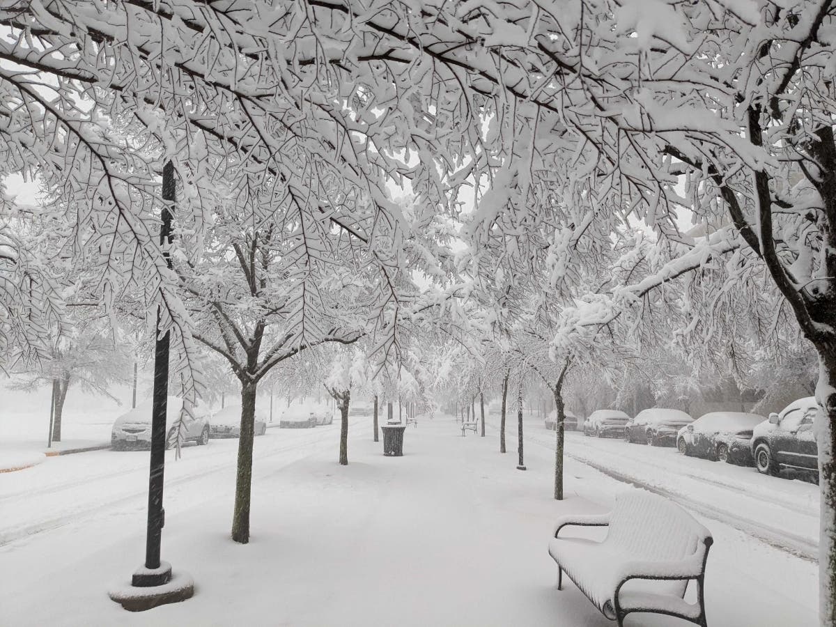 Snow covers the streets of Woodbridge Monday morning. Forecasters are calling for five to 10 inches of snow for most of the D.C. area and south, with snow heavy at times and wind gusts up to 35 mph.