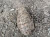 A Bethesda resident doing yard work on Wednesday afternoon unearthed what looked like a grenade. Investigators determined the device to be non-explosive.