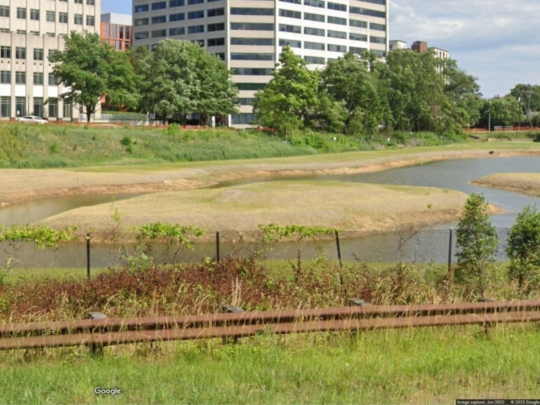 Arlington County wants residents to rank the four finalists in the order of preference. The deadline for voting on a new name for the Ballston Pond is Tuesday, July 19.