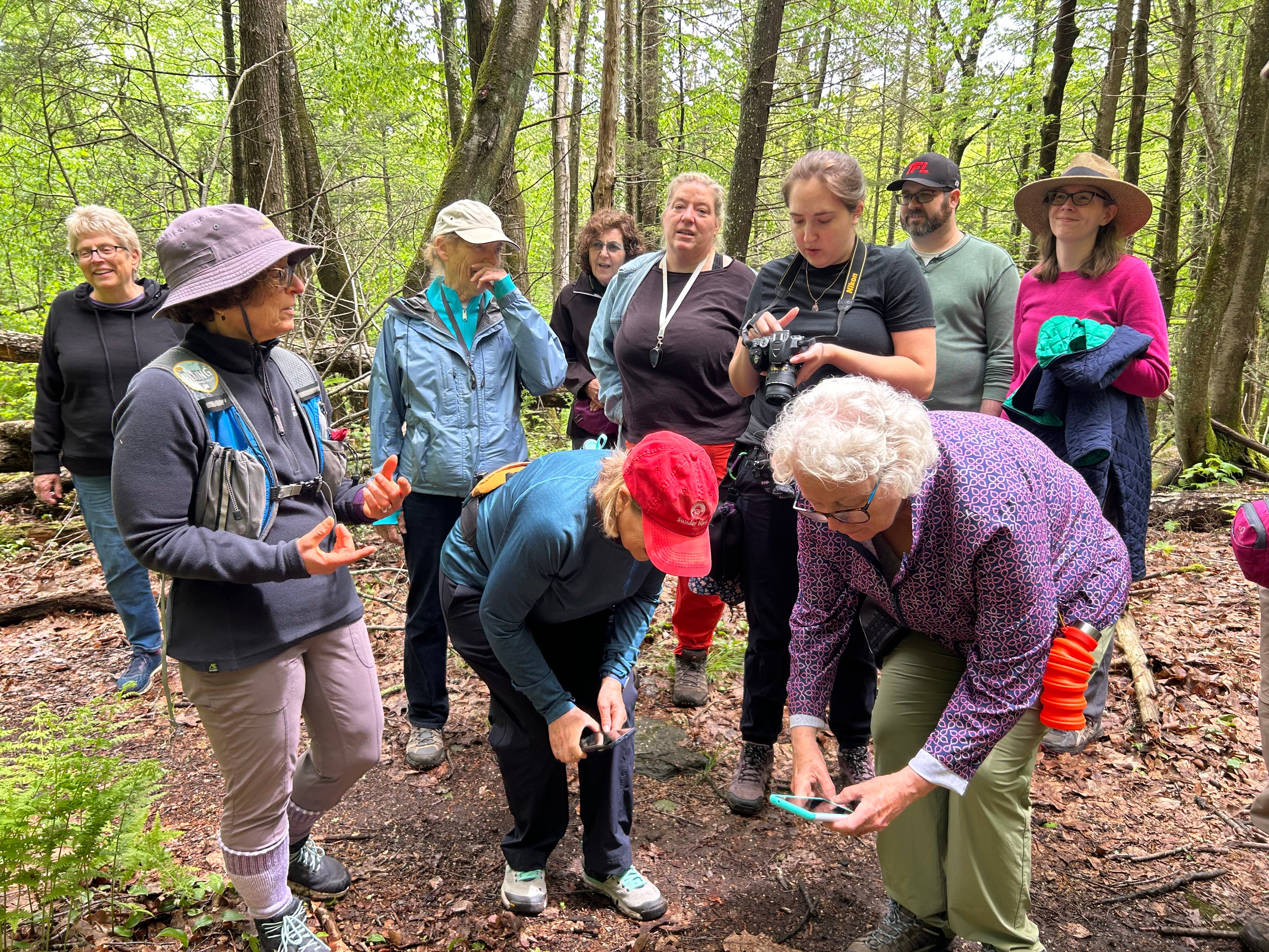 Friends Offer Wildflower Walk at Park