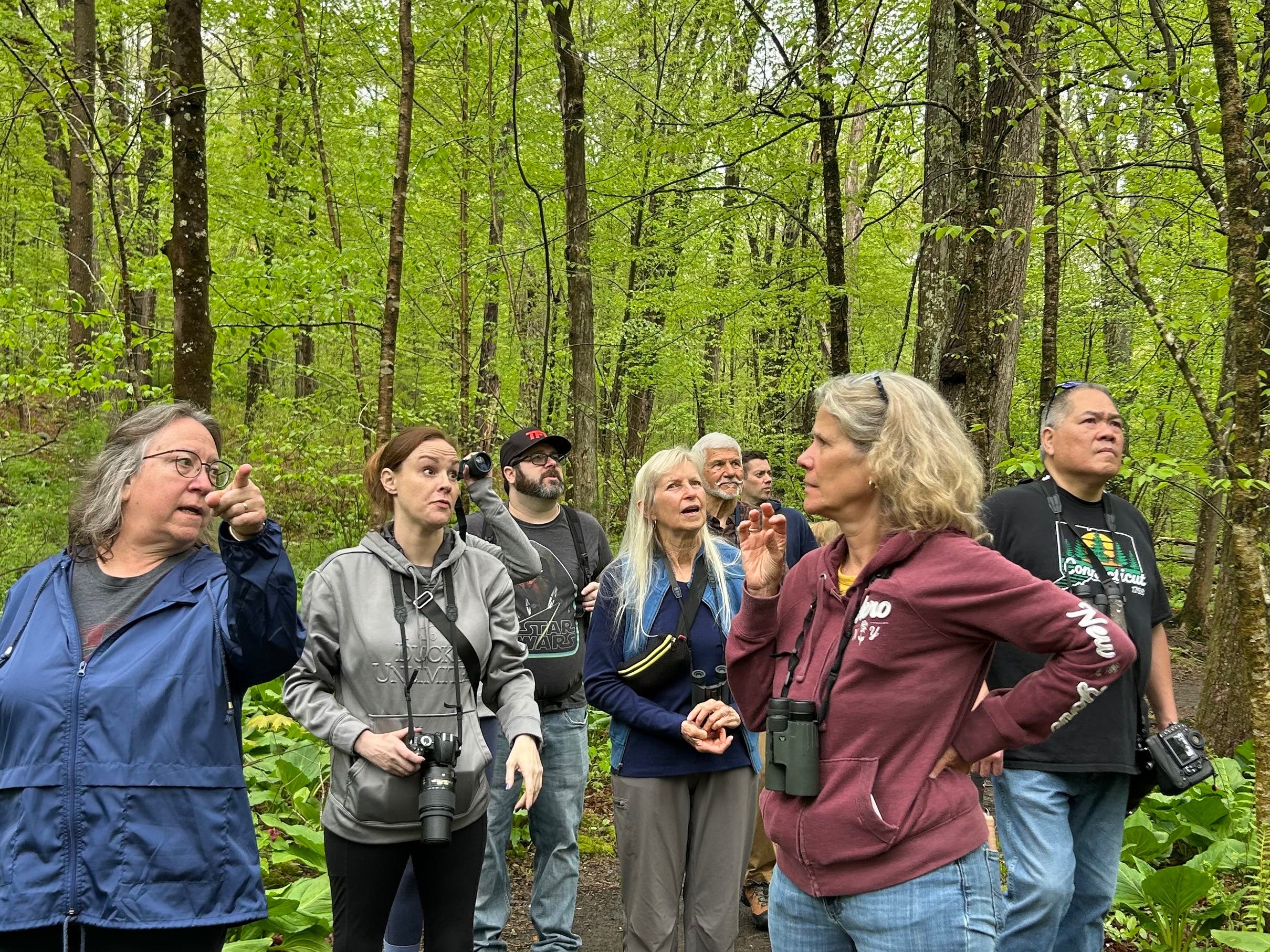 Nature Walk: The Birds in Valley Falls Park 