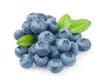 ~ Blueberries jpeg from bing.com reading fanpop.com ~