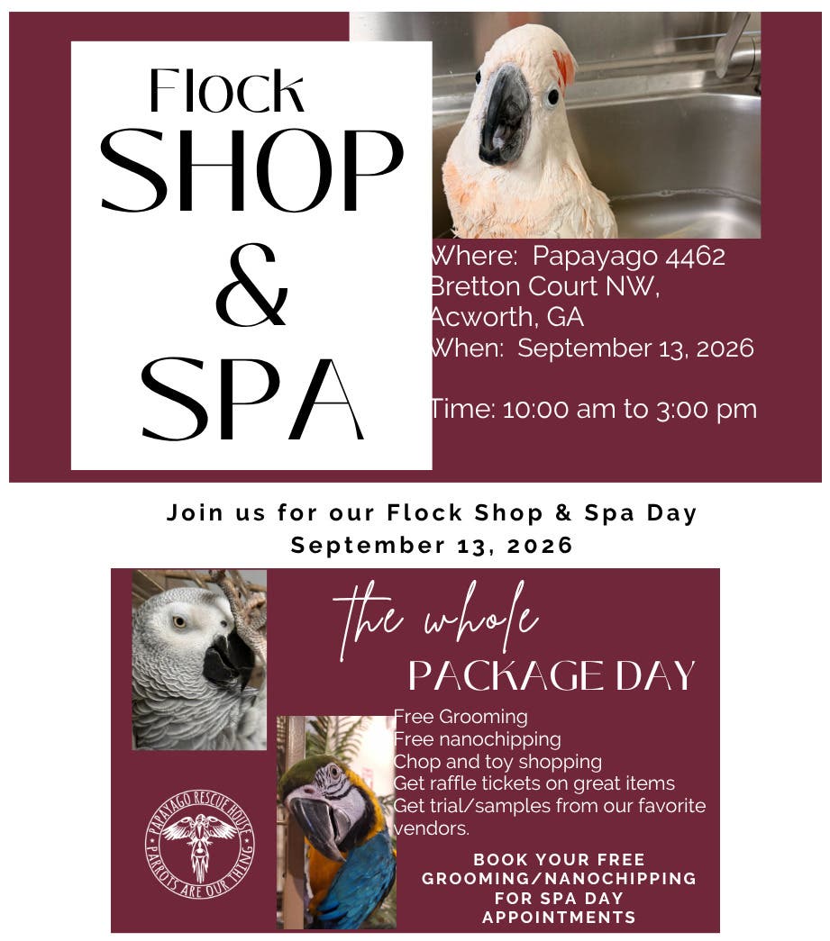 Flock Shop & Spa