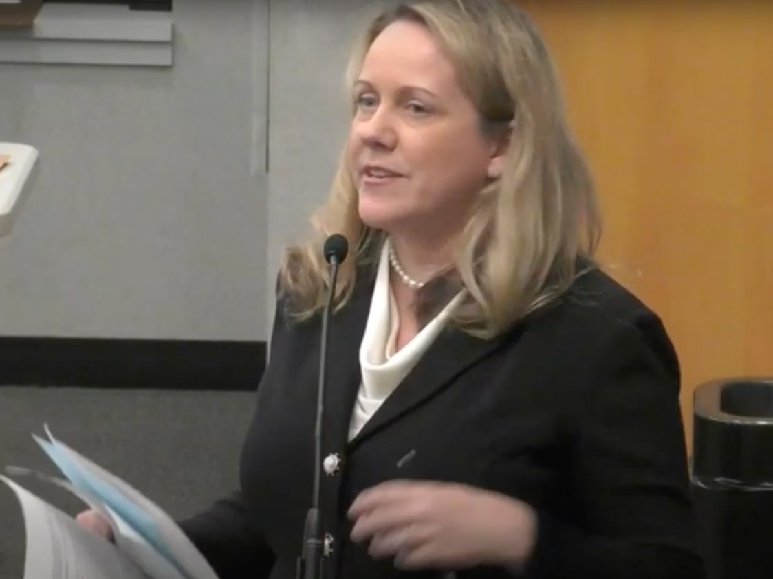 State Rep. Deanne Mazzochi, R-Elmhurst, is seen Monday in this screenshot of a City Council meeting video warning aldermen about a proposed code change on demolitions. 