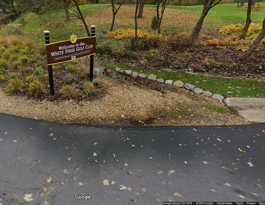 Bensenville Village President Frank DeSimone is calling for a referendum on whether to sell nearly half of White Pines Golf Club. 