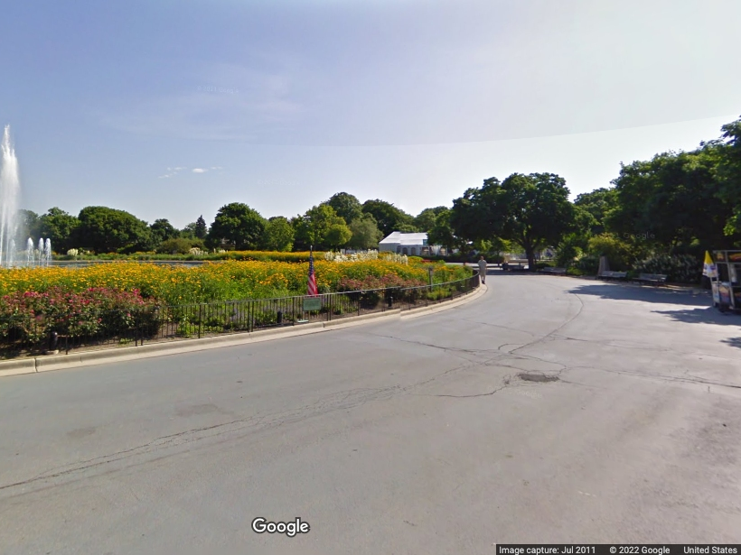 Brookfield Zoo reported that JoJo, a male 42-year-old gorilla, died Sunday. 