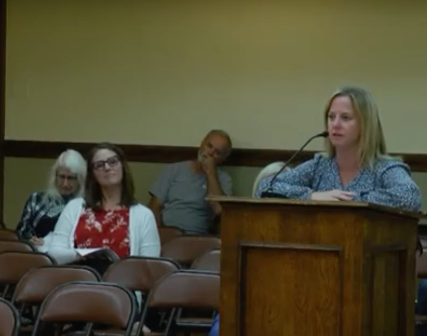 La Grange resident Laura West speaks about flooding in her neighborhood to the Village Board on Monday. She appears in a screenshot from the village's video of the meeting. 
