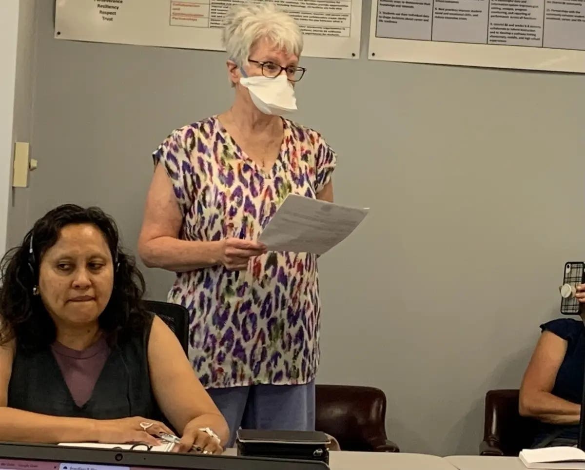 Kay Gallo, a former president of the Hinsdale High School District 86 board, speaks to the school board over the summer. In front of her is board member Cynthia Hanson.