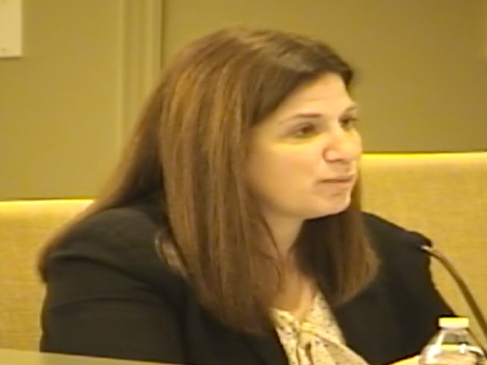Western Springs Village Manager Ellen Baer has been at the helm for a little more than a year. She appears here in a screenshot of a village meeting video. 