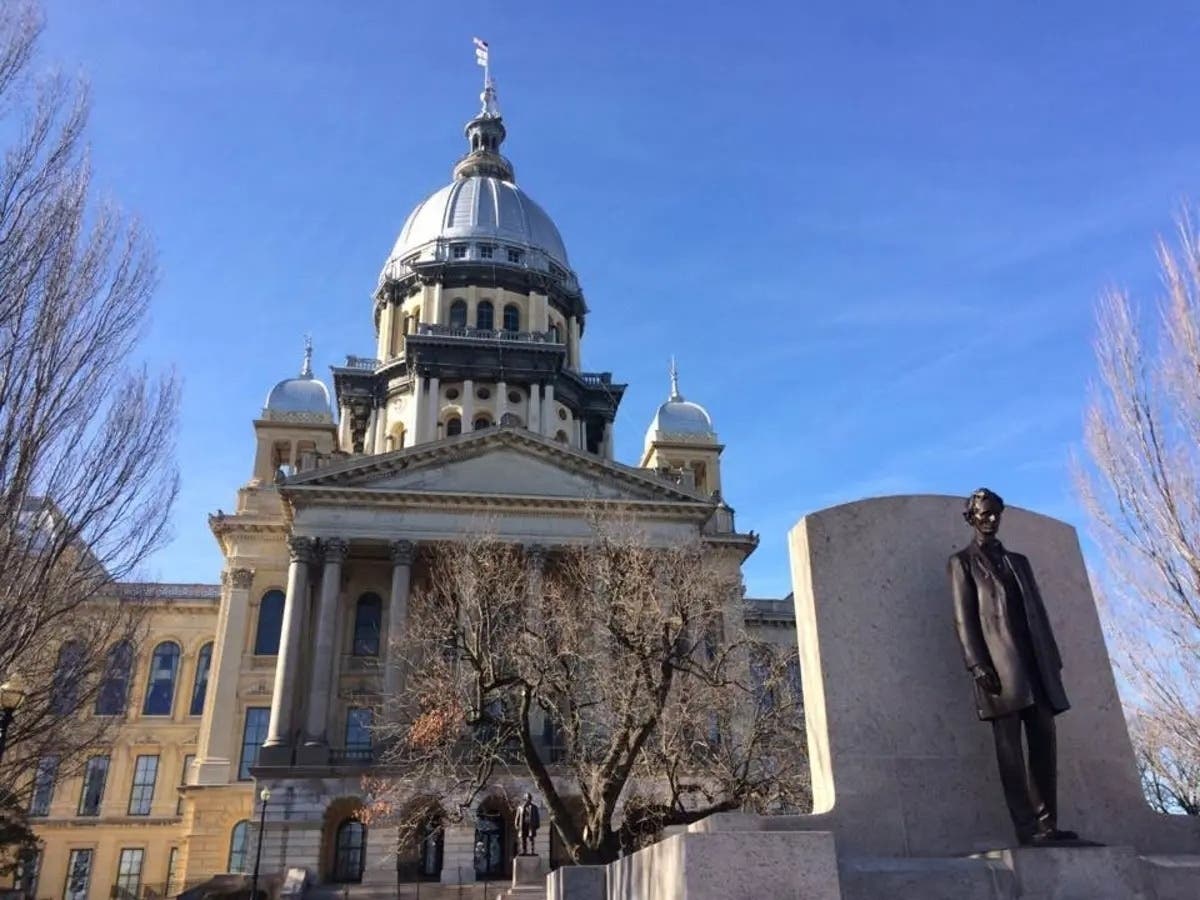 State Rep. Deanne Mazzochi, R-Elmhurst, asked a Chicago Democratic lawmaker to take back his accusation of racism against opponents of a new crime law. 