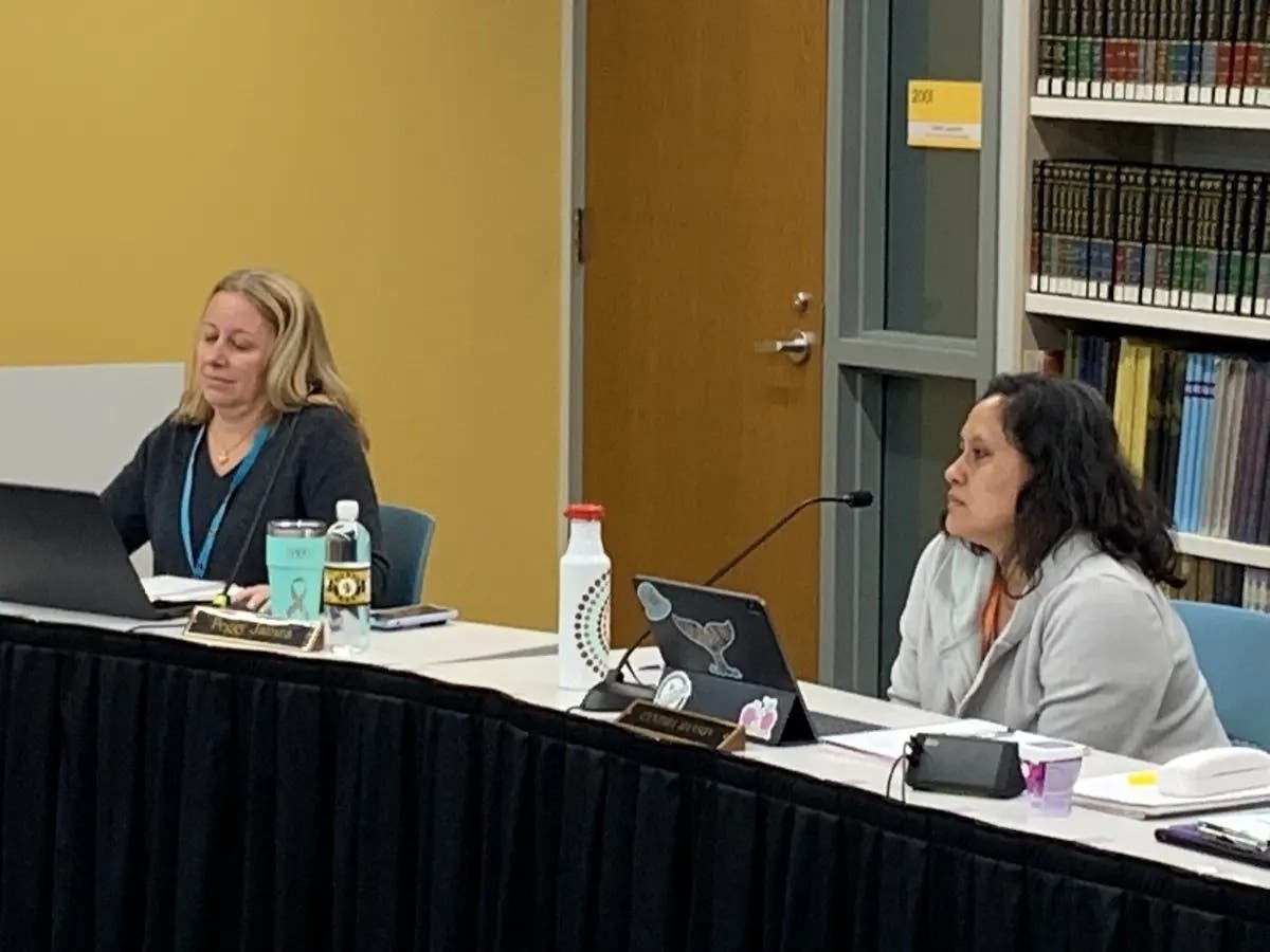 Cynthia Hanson, a Hinsdale High School District 86 board member, said last week she was "completely frustrated" with being "mushed" in with the majority. Next to her in this 2022 photo is member Peggy James. 