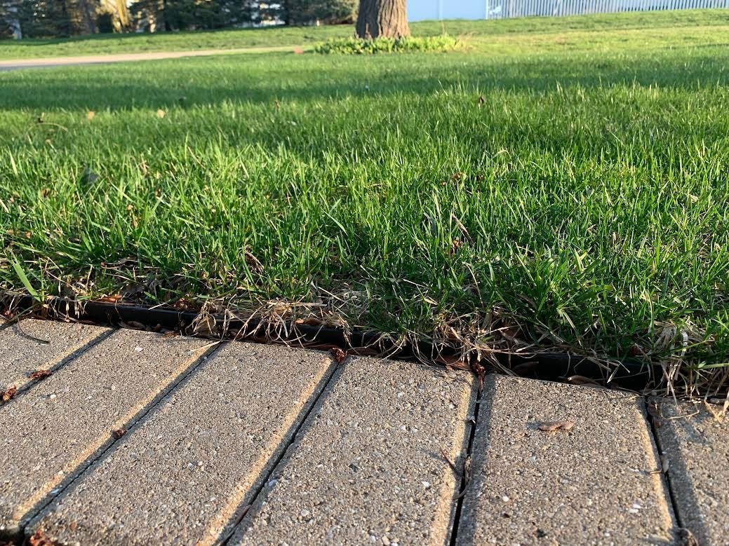 Western Springs officials said they are taking part in the "No Mow May" initiative. They are suspending enforcement of the grass height rule. 