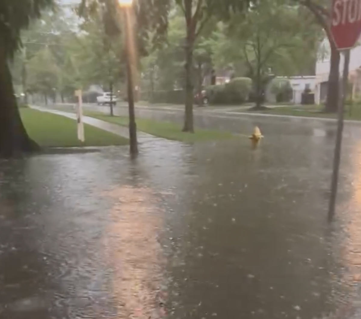 The corner of Sunset and Elm avenues floods during rainstorms. The water gets near the home of Laura and Michael West. "We just get lucky sometimes that it stops raining," she told the Village Board on Monday. This is a screenshot of Laura West's video.