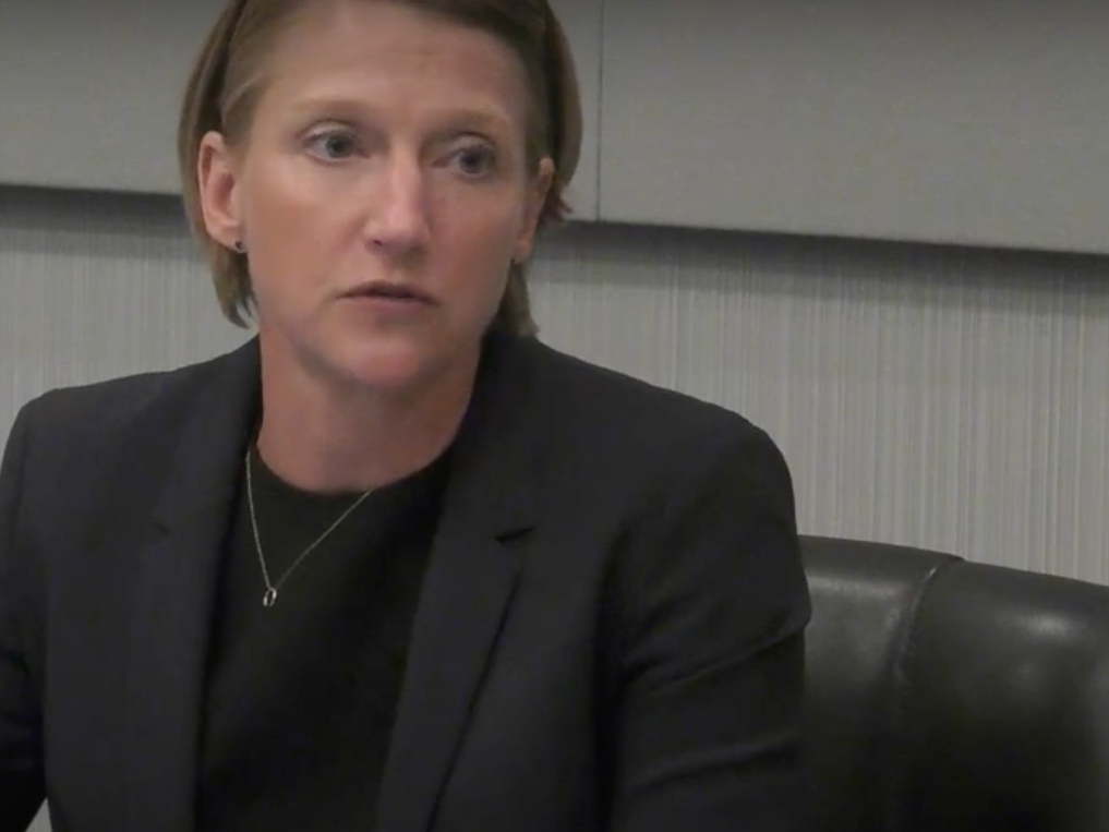 Elmhurst Alderwoman Noel Talluto on Tuesday makes the case for a sales tax increase to pay for stormwater projects. 