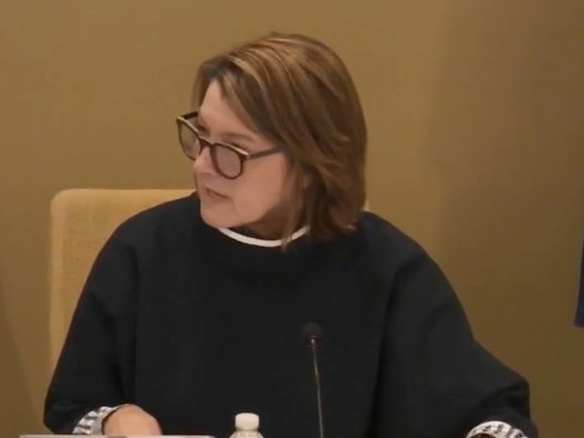 Western Springs Village President Heidi Rudolph said this week that the village needed more money to handle infrastructure needs. 