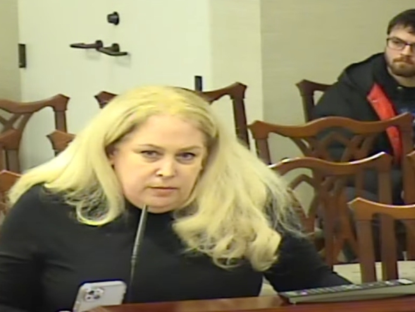 Michelle Crowe, a South Bodin Street resident, tells the Hinsdale Village Board on Tuesday that she supported requiring short-term rentals be at least six months. 