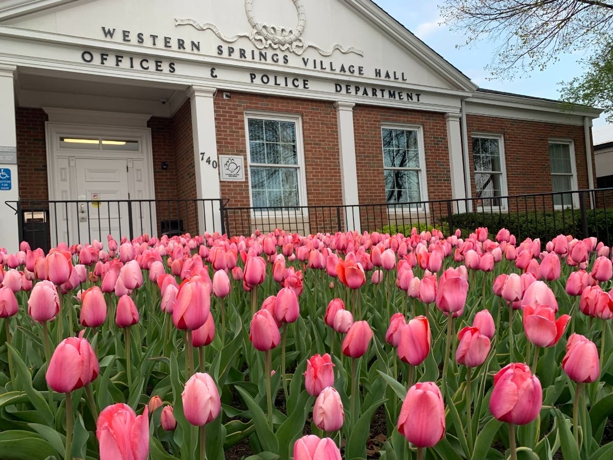 Numerous car burglaries were reported in the Field Park neighborhood, Western Springs police said.