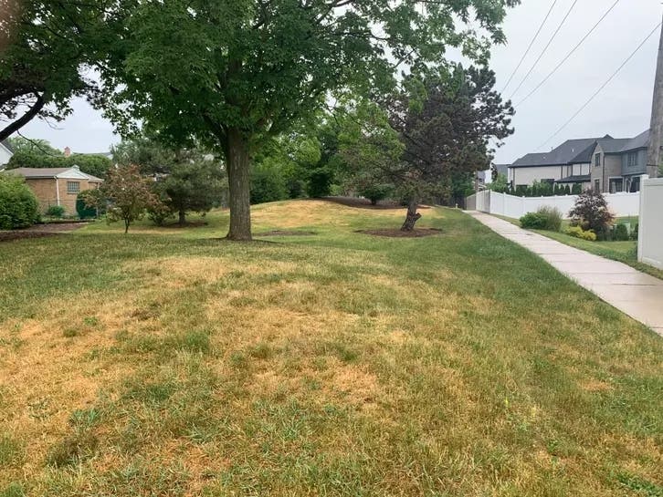 Neighbors say they want to keep the open space at the end of Second Street and Elmhurst Avenue. 