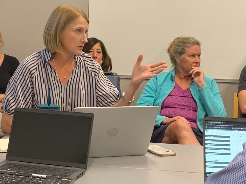 Elmhurst Alderwoman Noel Talluto says during a committee meeting Monday that Elmhurst police officers have been "soldiering on" without a needed new police station. 