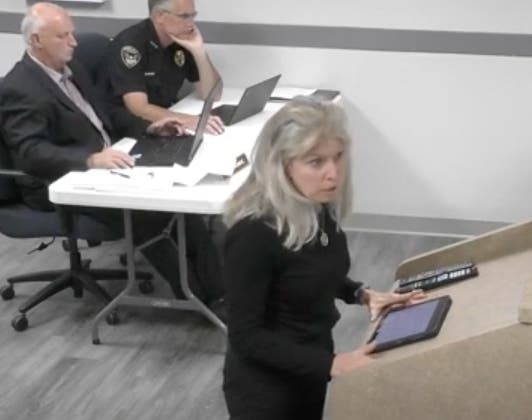 Luanne Spiros, vice president of the Darien Park District's board, speaks Monday to the Darien City Council. 