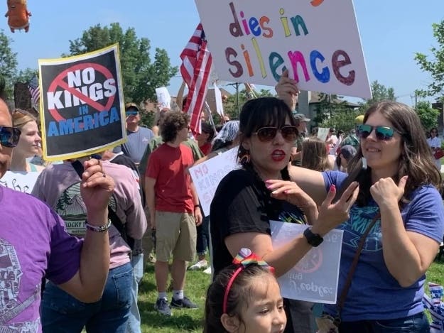 Anti-Trump protesters rally last summer in an Elmhurst park. A Hinsdale Democrat who put up a "No kings" sign in his yard said he endured neighborhood retaliation as a result.
