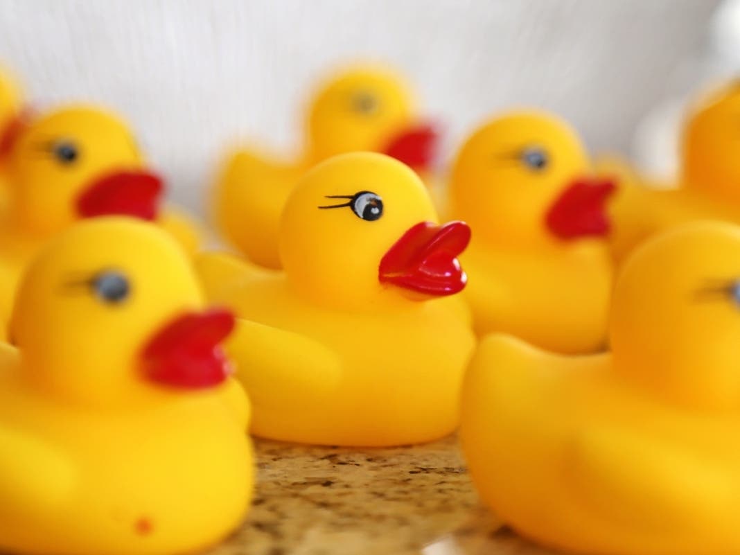 Quack, Quack: Donut Chain Coming To Willowbrook