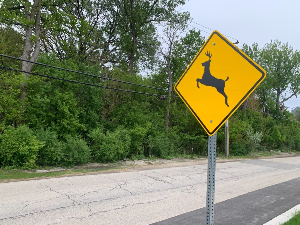 A sign warning of deer is along Riverside Drive in Elmhurst. 