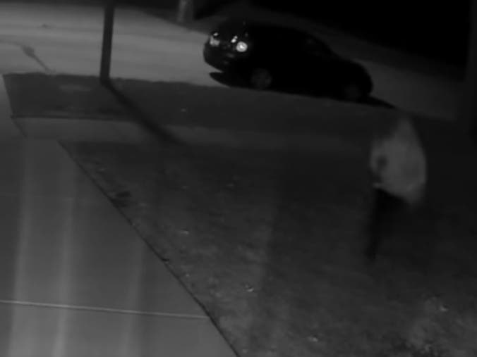 A man is seen running away in a video screenshot just before an Elmhurst police officer shows up.