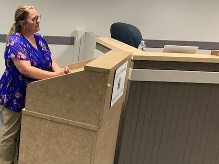 Darien resident Lisa Schmidt asks local aldermen Monday for help in giving parents the right to choose Hinsdale South over Downers Grove South for their high school students. 