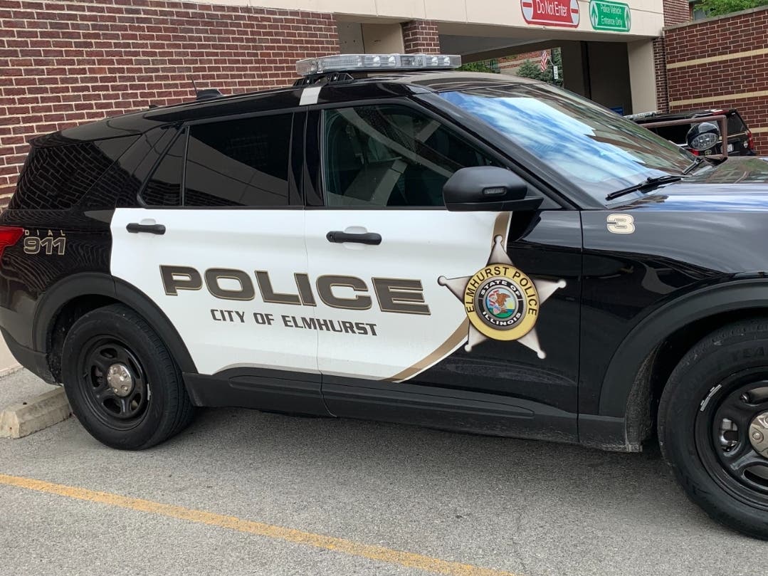 A woman in the 400 block of North Emroy Avenue warned off suspects entering a nearby garage, Elmhurst police said.