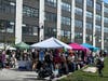 MSP Market Sunday 