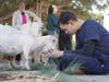 ALEH Negev residents have therapeutic sessions with animals