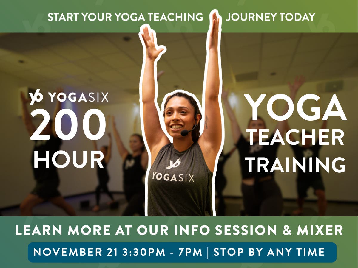 Nov 21 | Yoga Teacher Training 101: Mixer + Social | Danville, CA Patch