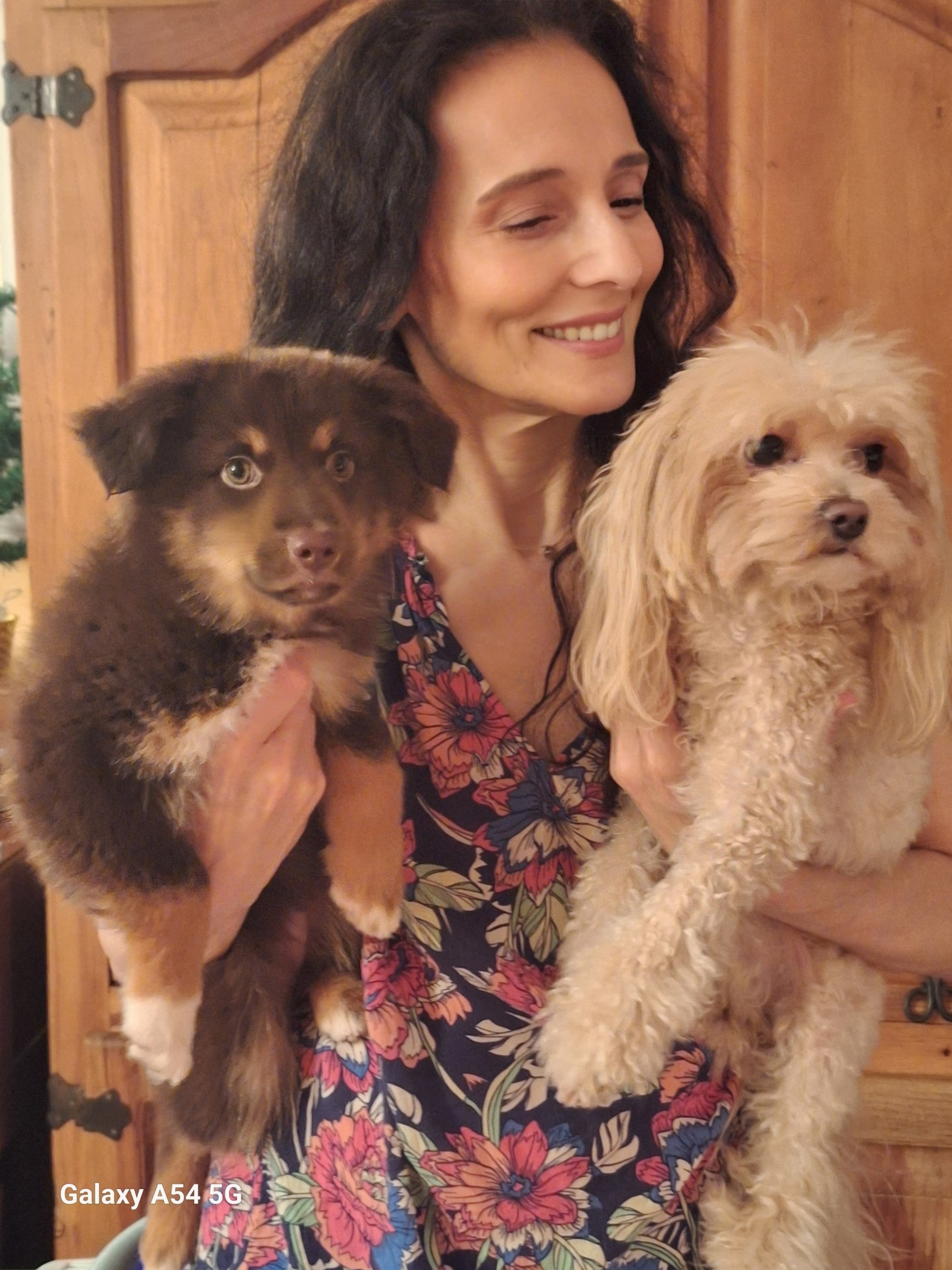 Tara's School for Dogs