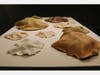 Clay Firing Study