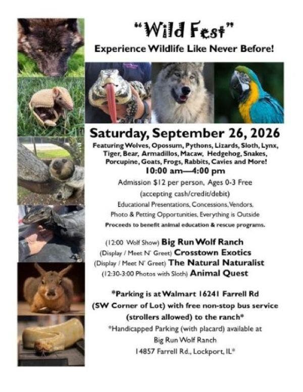 Outdoor Wild Fest