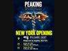 PEAKING: Psychedelics and the Pursuit of Happiness