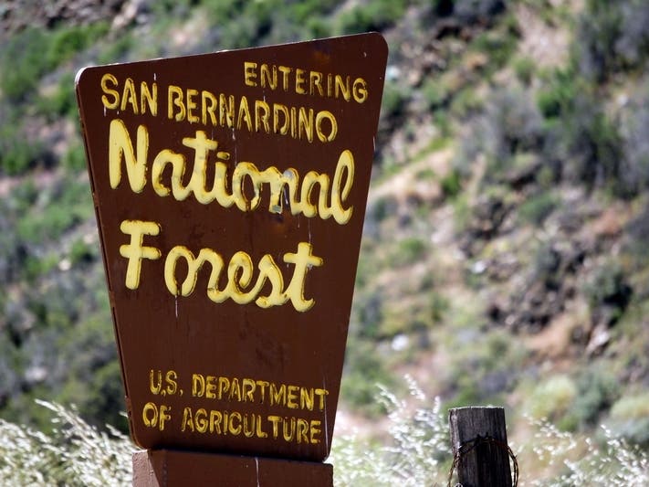 The fatality occurred on the Pacific Crest Trail, near Highway 74, in the San Bernardino National Forest.