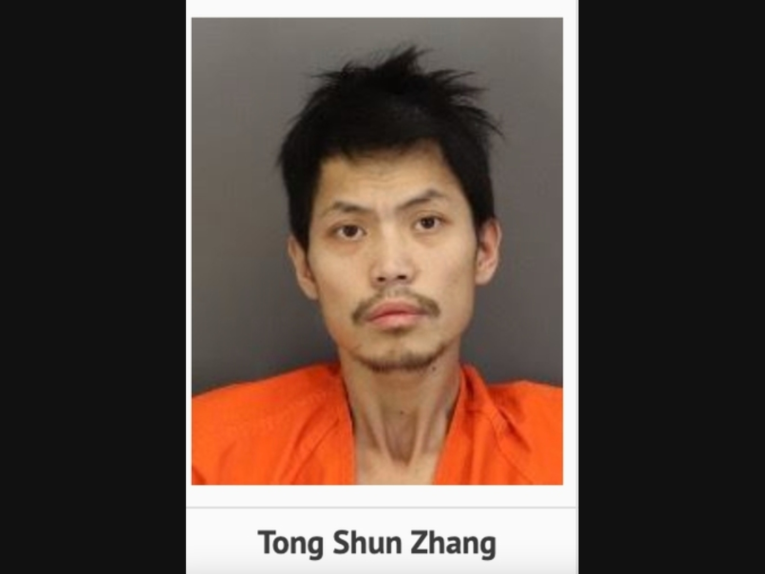 Michael Tong Shun Zhang