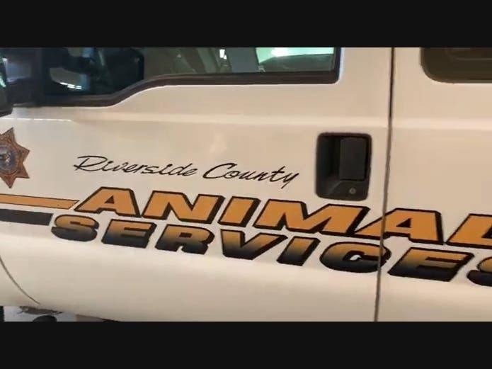 The Department of Animal Services said it has a fleet of about 60 vehicles, and 50 percent of those are over 10 years old, bearing high mileage. Now, the department will see some relief in aging out 19 of those vehicles.