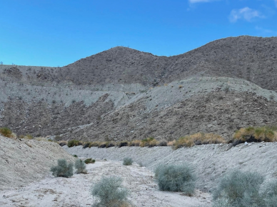 Numerous community members protested the proposed project, citing concerns environmental and health concerns.
