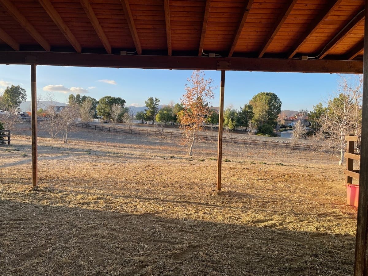Officials said property owners were served with orders to abate, or mitigate, the potential hazards, and when inspectors received no reply or saw that no action had been taken, contractors were sent to the locations to clear the brush.