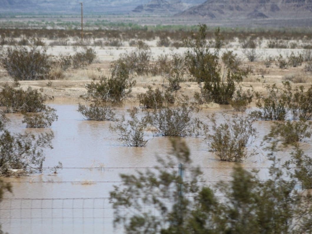 Desert flooding in 2022 near Interstate 10 in California.