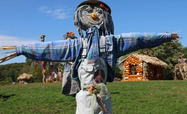 Scarecrows, Pumpkins & Fun!